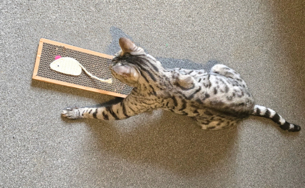 Cardboard mouse scratcher. Scratch pad for cats.