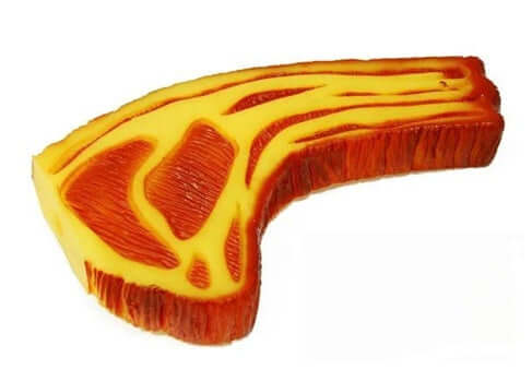 Squeaky chop dog toy.