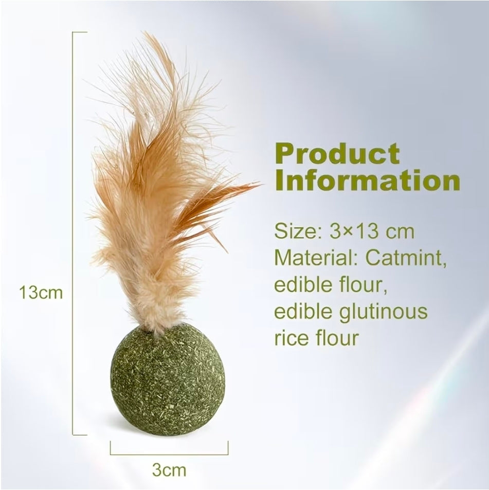 Catnip ball treat. Cat toy.