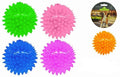 Squeaky, light up, spikey ball for dogs and cats. Pet toy.