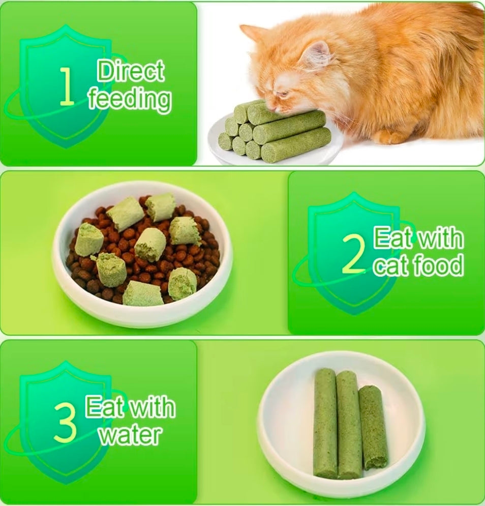 Cat grass sticks. Healthy treat sticks for cats. Teething sticks.