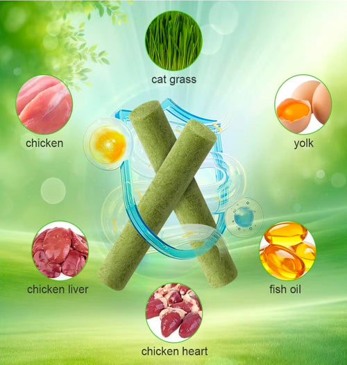 Cat grass sticks. Healthy treat sticks for cats. Teething sticks.