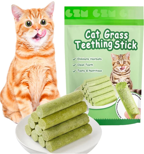 Cat grass sticks. Healthy treat sticks for cats. Teething sticks.
